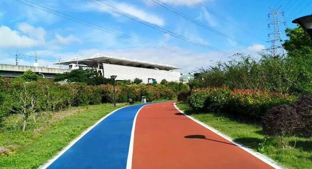星空体育：精致建绿精心播绿精细护绿(图1)