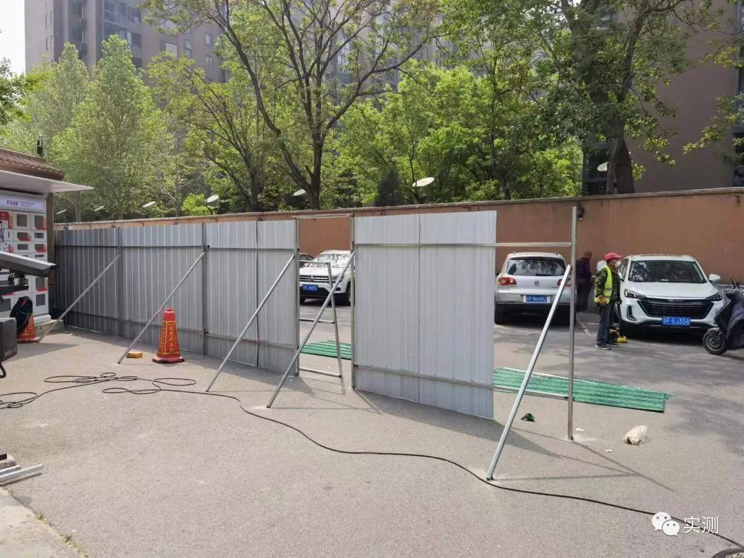 公园能遛狗对城市意味着什么(图1)